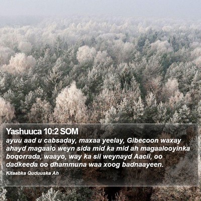 Yashuuca 10:2 SOM Bible Verse Image