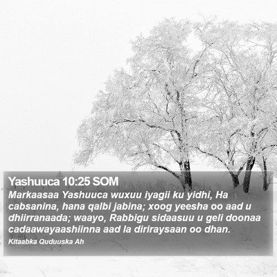 Yashuuca 10:25 SOM Bible Verse Image
