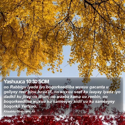 Yashuuca 10:30 SOM Bible Verse Image