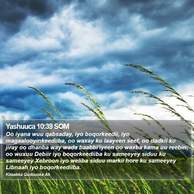 Yashuuca 10:39 SOM Bible Verse Image