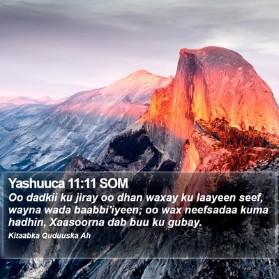 Yashuuca 11:11 SOM Bible Verse Image