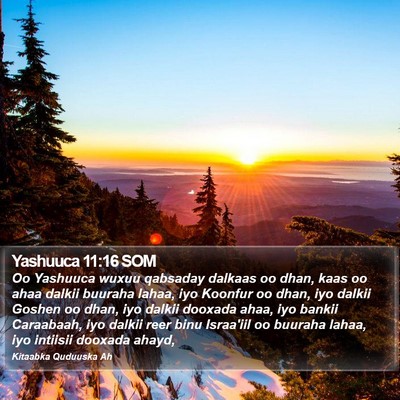 Yashuuca 11:16 SOM Bible Verse Image