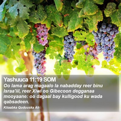 Yashuuca 11:19 SOM Bible Verse Image