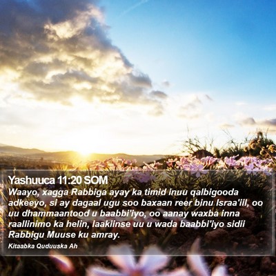 Yashuuca 11:20 SOM Bible Verse Image