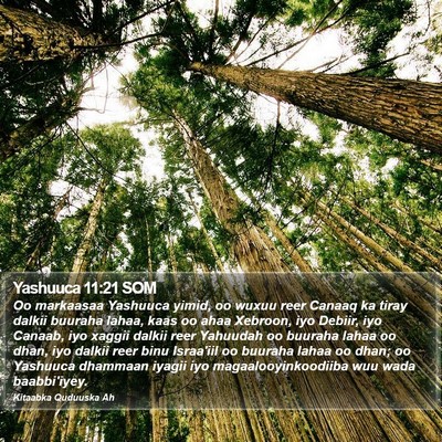 Yashuuca 11:21 SOM Bible Verse Image