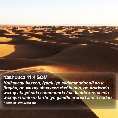 Yashuuca 11:4 SOM Bible Verse Image