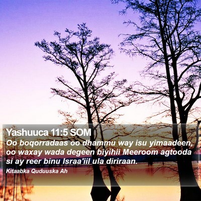 Yashuuca 11:5 SOM Bible Verse Image