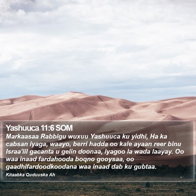 Yashuuca 11:6 SOM Bible Verse Image