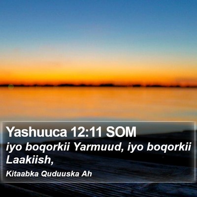 Yashuuca 12:11 SOM Bible Verse Image