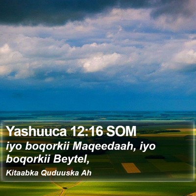 Yashuuca 12:16 SOM Bible Verse Image