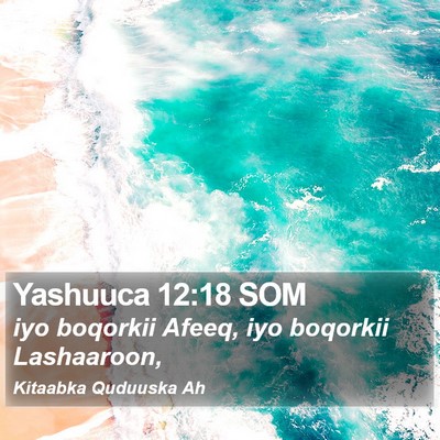 Yashuuca 12:18 SOM Bible Verse Image