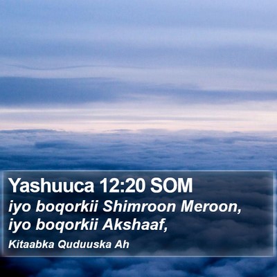 Yashuuca 12:20 SOM Bible Verse Image