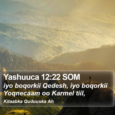 Yashuuca 12:22 SOM Bible Verse Image