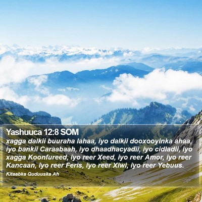 Yashuuca 12:8 SOM Bible Verse Image