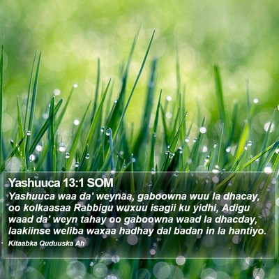 Yashuuca 13:1 SOM Bible Verse Image