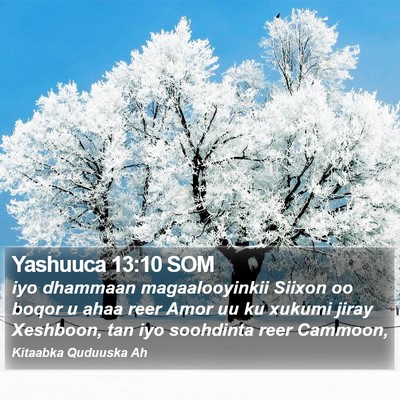 Yashuuca 13:10 SOM Bible Verse Image