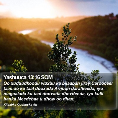 Yashuuca 13:16 SOM Bible Verse Image