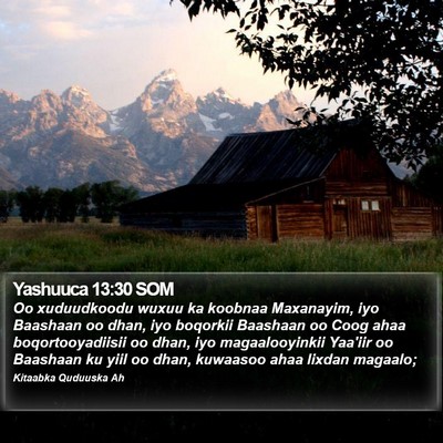 Yashuuca 13:30 SOM Bible Verse Image