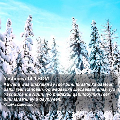 Yashuuca 14:1 SOM Bible Verse Image