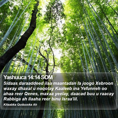 Yashuuca 14:14 SOM Bible Verse Image