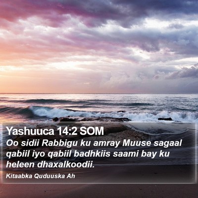 Yashuuca 14:2 SOM Bible Verse Image