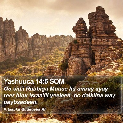 Yashuuca 14:5 SOM Bible Verse Image