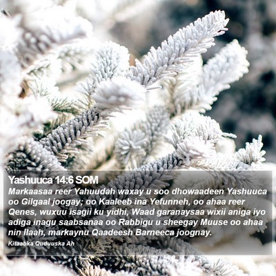 Yashuuca 14:6 SOM Bible Verse Image