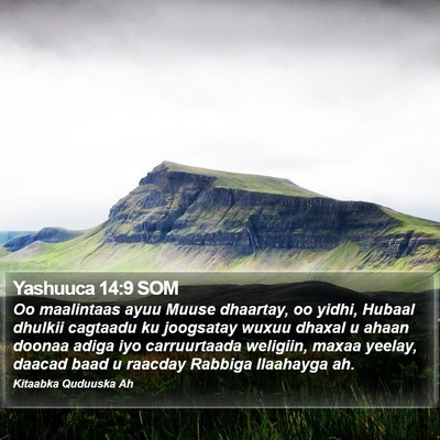 Yashuuca 14:9 SOM Bible Verse Image