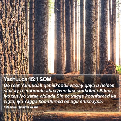 Yashuuca 15:1 SOM Bible Verse Image