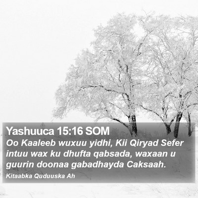 Yashuuca 15:16 SOM Bible Verse Image