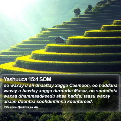 Yashuuca 15:4 SOM Bible Verse Image