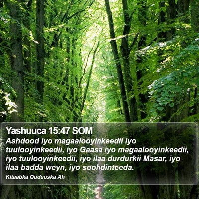 Yashuuca 15:47 SOM Bible Verse Image