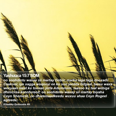 Yashuuca 15:7 SOM Bible Verse Image