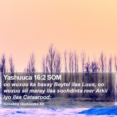 Yashuuca 16:2 SOM Bible Verse Image