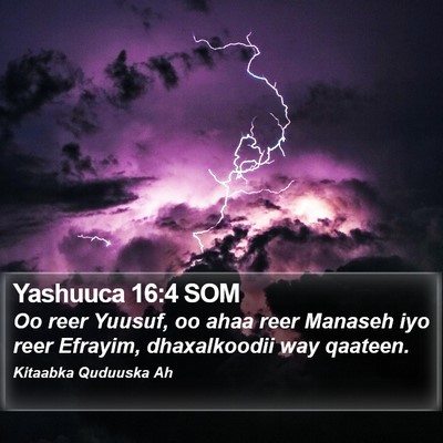 Yashuuca 16:4 SOM Bible Verse Image