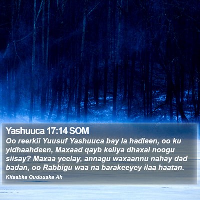 Yashuuca 17:14 SOM Bible Verse Image