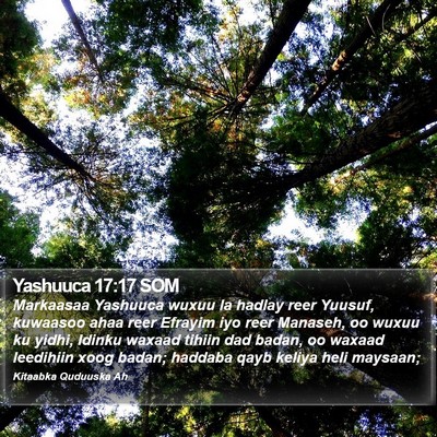 Yashuuca 17:17 SOM Bible Verse Image