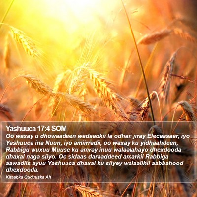Yashuuca 17:4 SOM Bible Verse Image