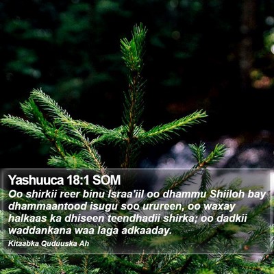 Yashuuca 18:1 SOM Bible Verse Image