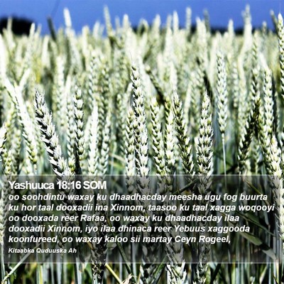 Yashuuca 18:16 SOM Bible Verse Image