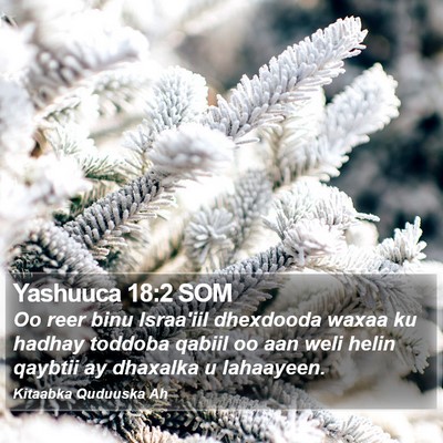Yashuuca 18:2 SOM Bible Verse Image