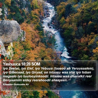 Yashuuca 18:28 SOM Bible Verse Image