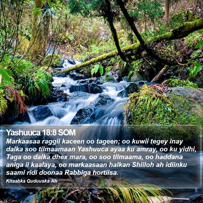 Yashuuca 18:8 SOM Bible Verse Image