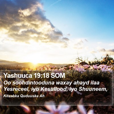 Yashuuca 19:18 SOM Bible Verse Image