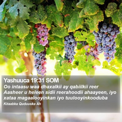 Yashuuca 19:31 SOM Bible Verse Image