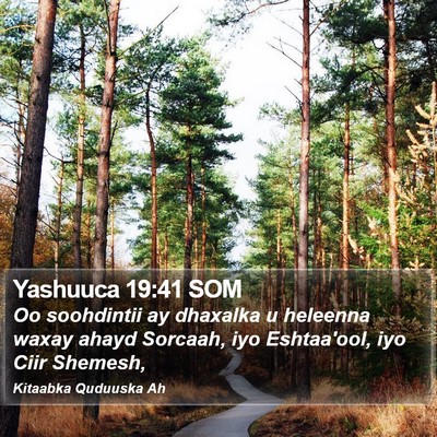 Yashuuca 19:41 SOM Bible Verse Image