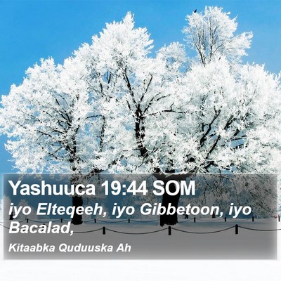 Yashuuca 19:44 SOM Bible Verse Image