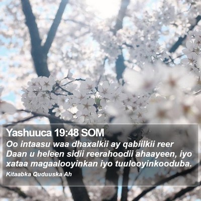 Yashuuca 19:48 SOM Bible Verse Image