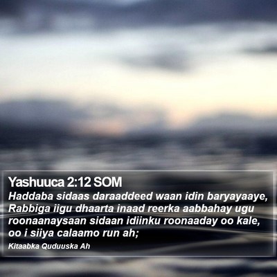 Yashuuca 2:12 SOM Bible Verse Image