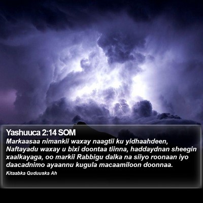 Yashuuca 2:14 SOM Bible Verse Image